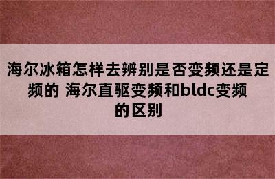 海尔冰箱怎样去辨别是否变频还是定频的 海尔直驱变频和bldc变频的区别